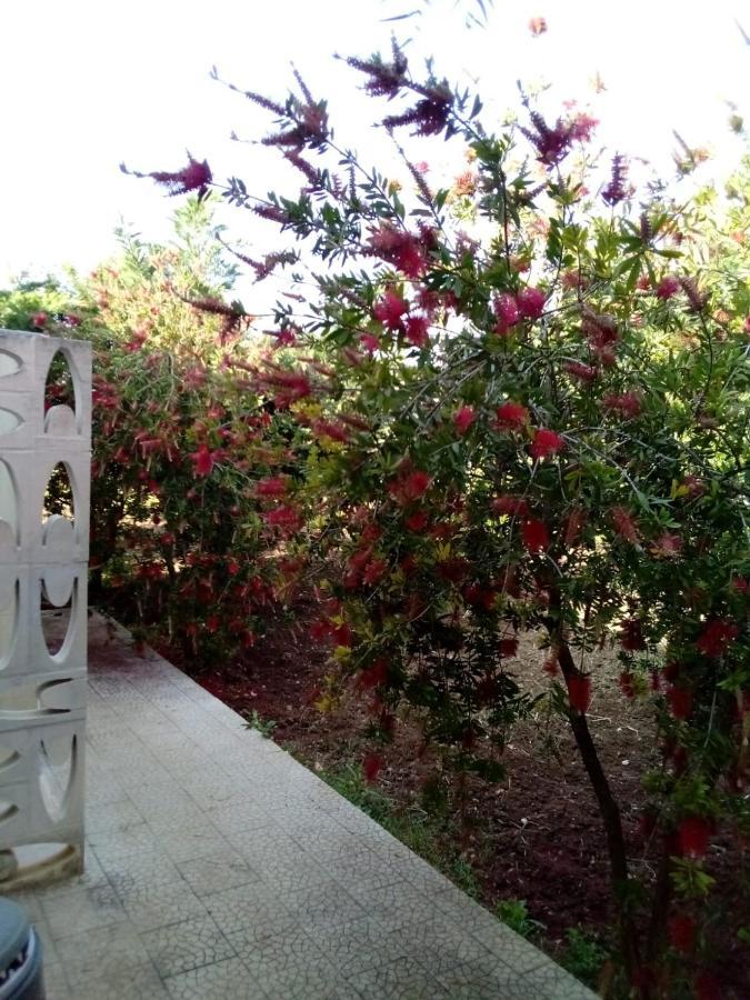 Villa Grazia Vieste Dış mekan fotoğraf